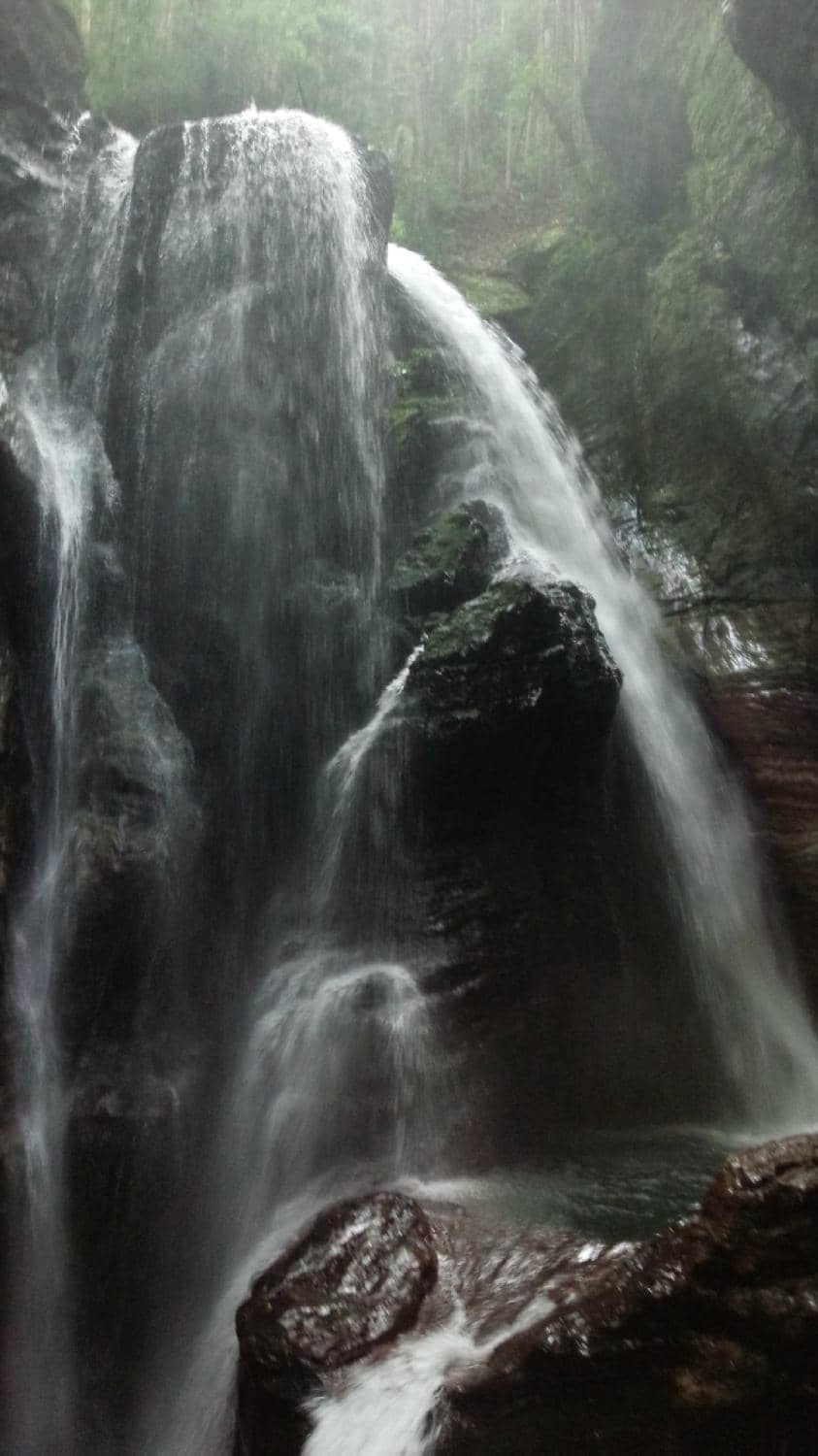 Gorge Walking Trail