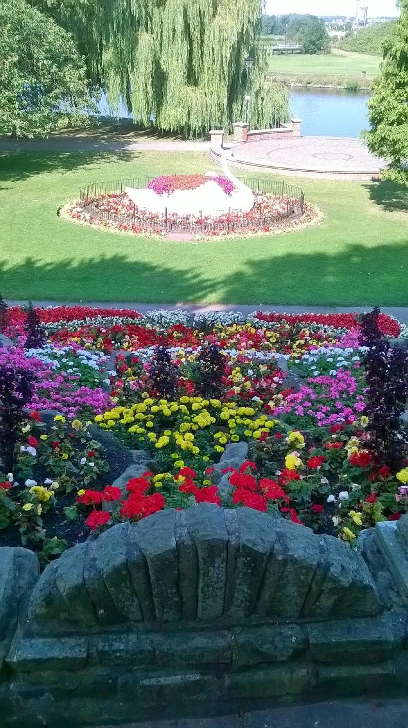Stapenhill Gardens display