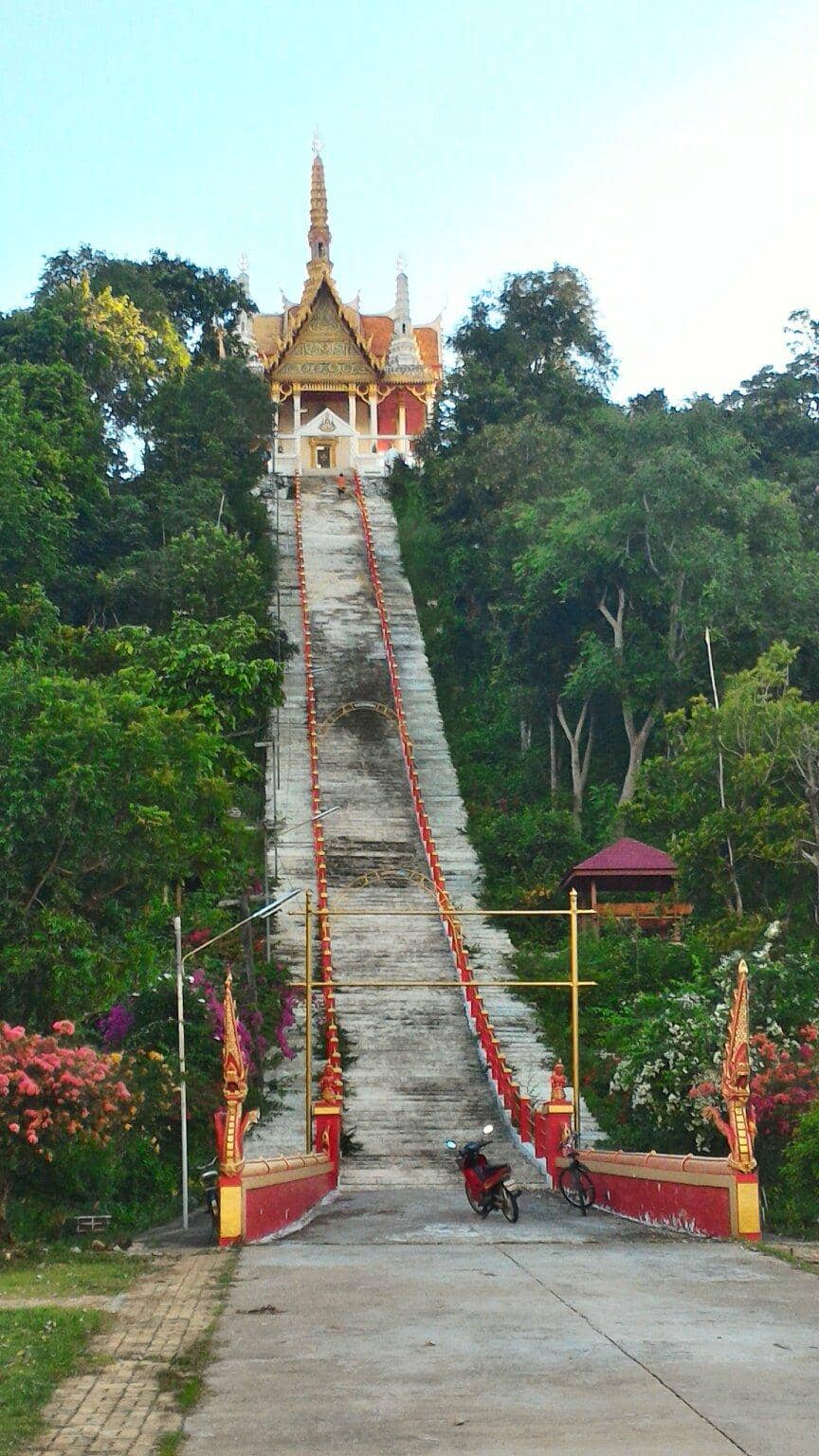 Vertical photo
