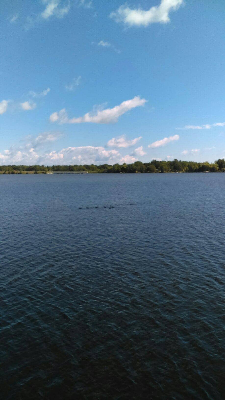 Sanford Dam View
