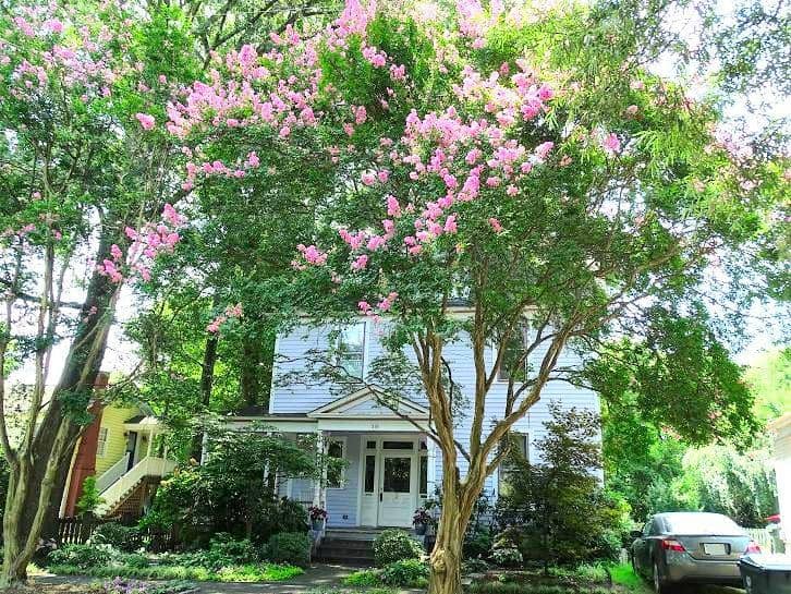 Victorian Architecture Tour