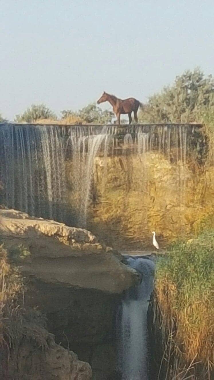 Sand Dunes and Desert Safari