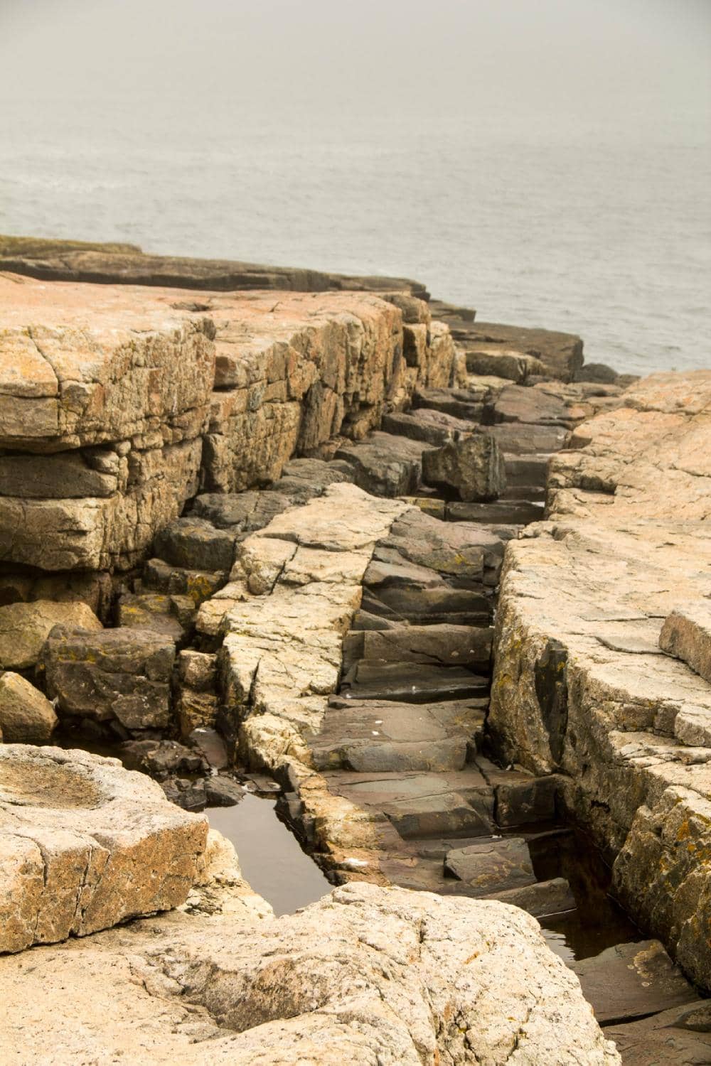 Schoodic Loop Road