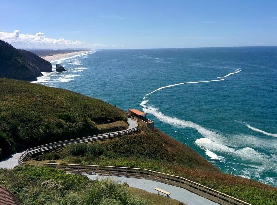 Beach view rom Sea Lion Cave store