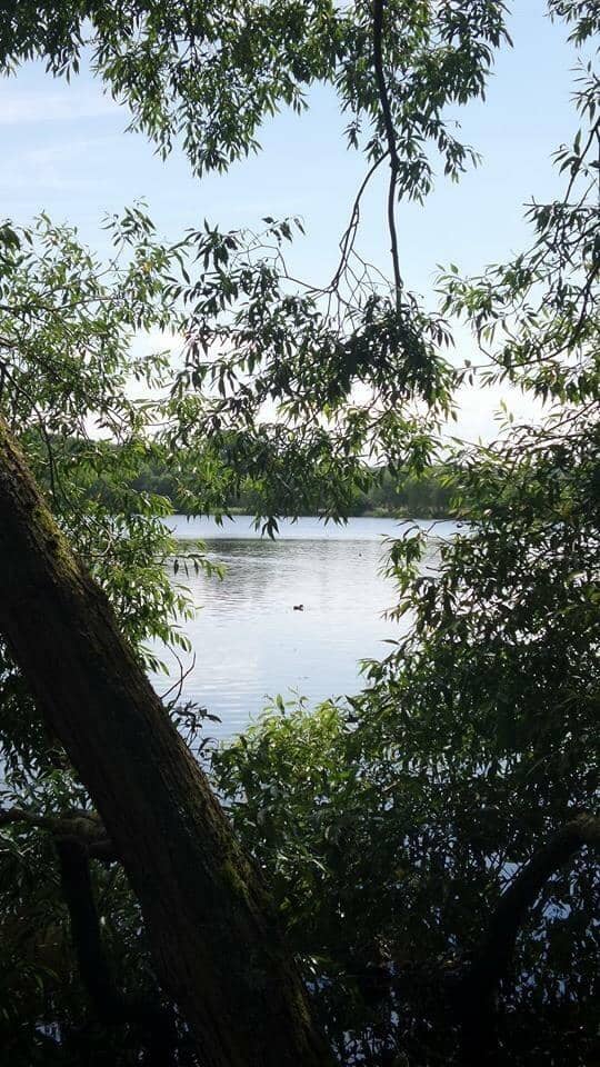 Elsecar Reservoir