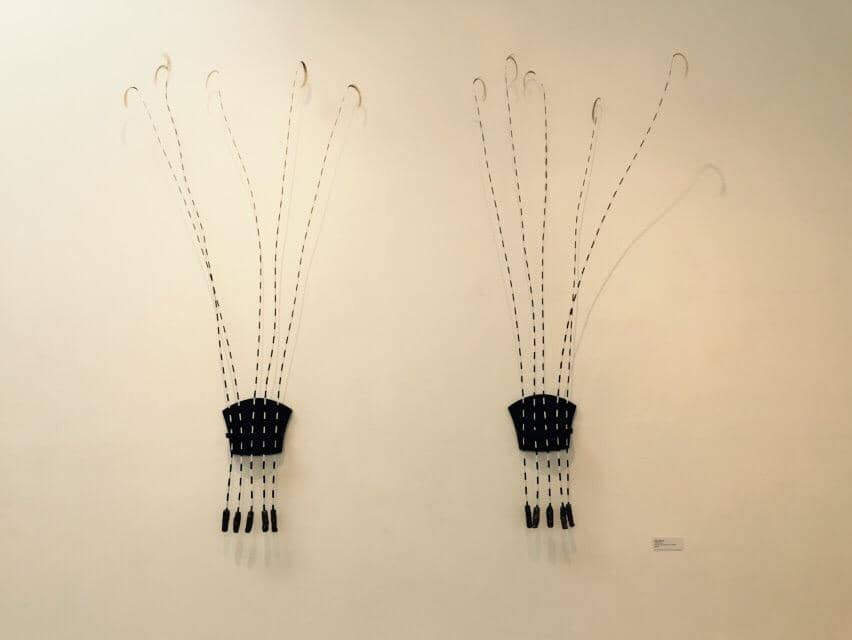 Dinosaur and Fossil Displays