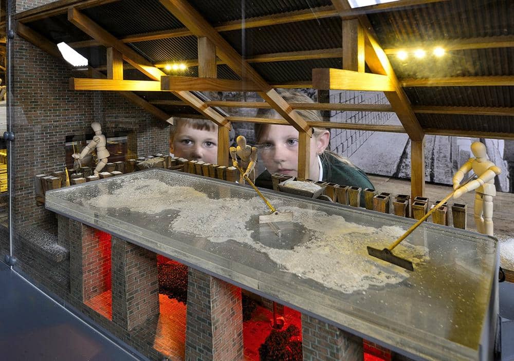 Trent and Mersey Canal Views