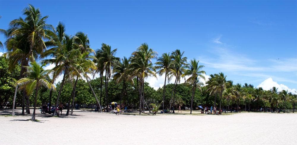 park / beach