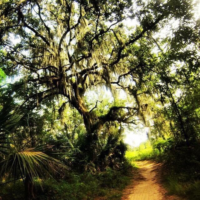 Alafia River State Park Lithia