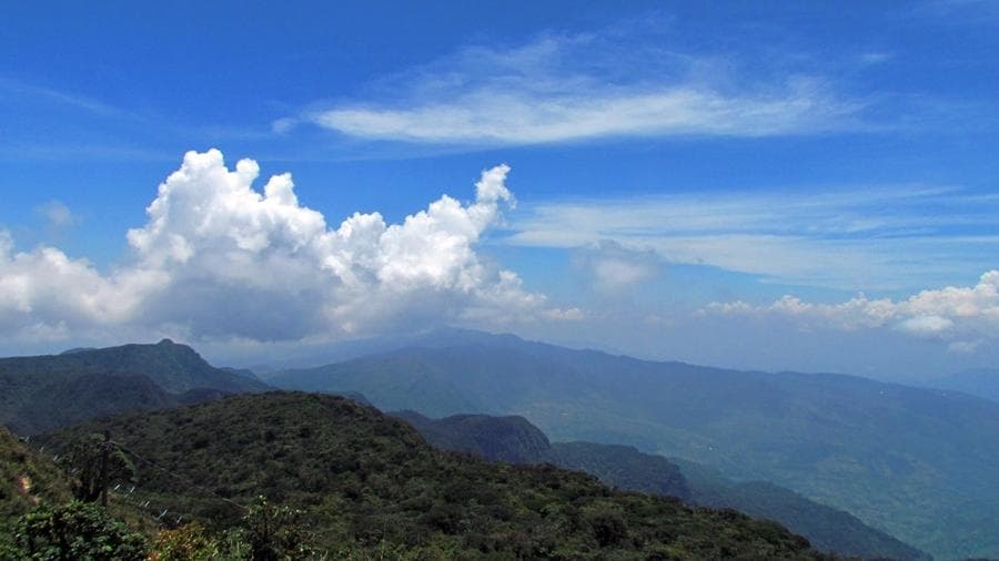 Pidurutalagala Forest Reserve