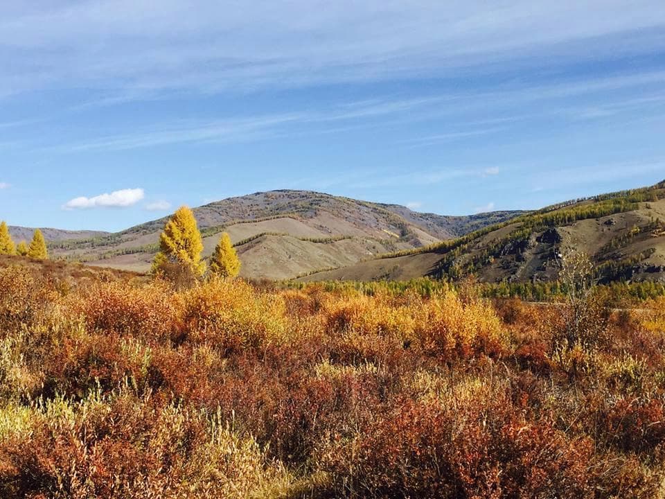 view from peak of Tsetse gun