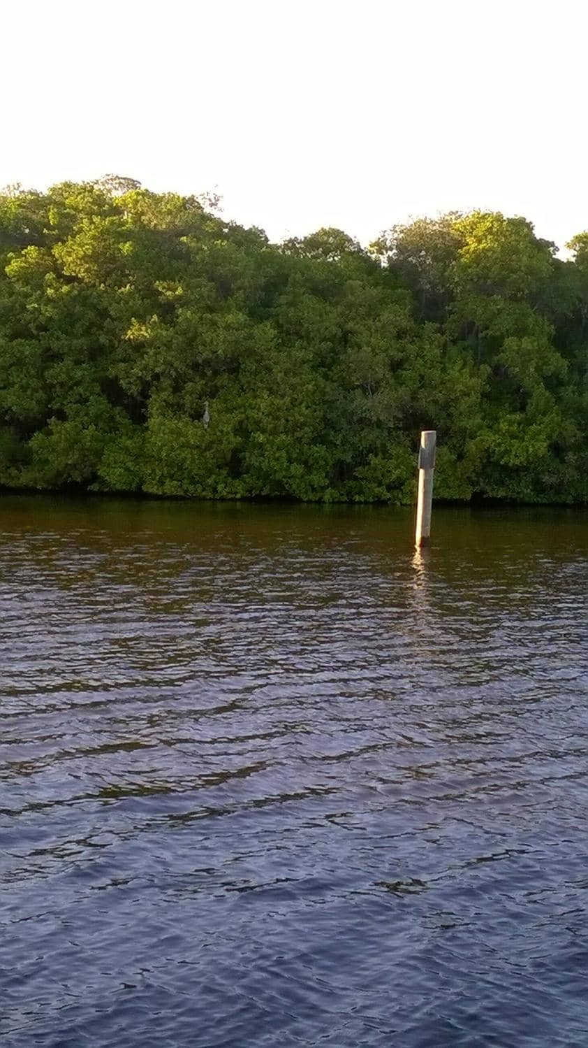 Indian River Fishing Pier