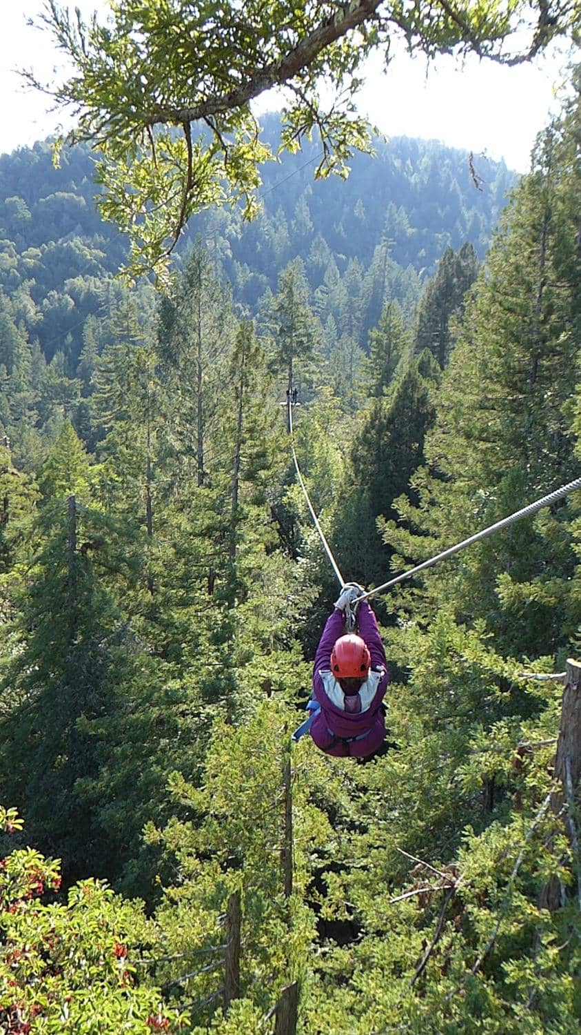 Soar Through Redwoods