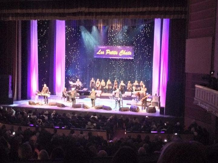 Concert Les petits chats