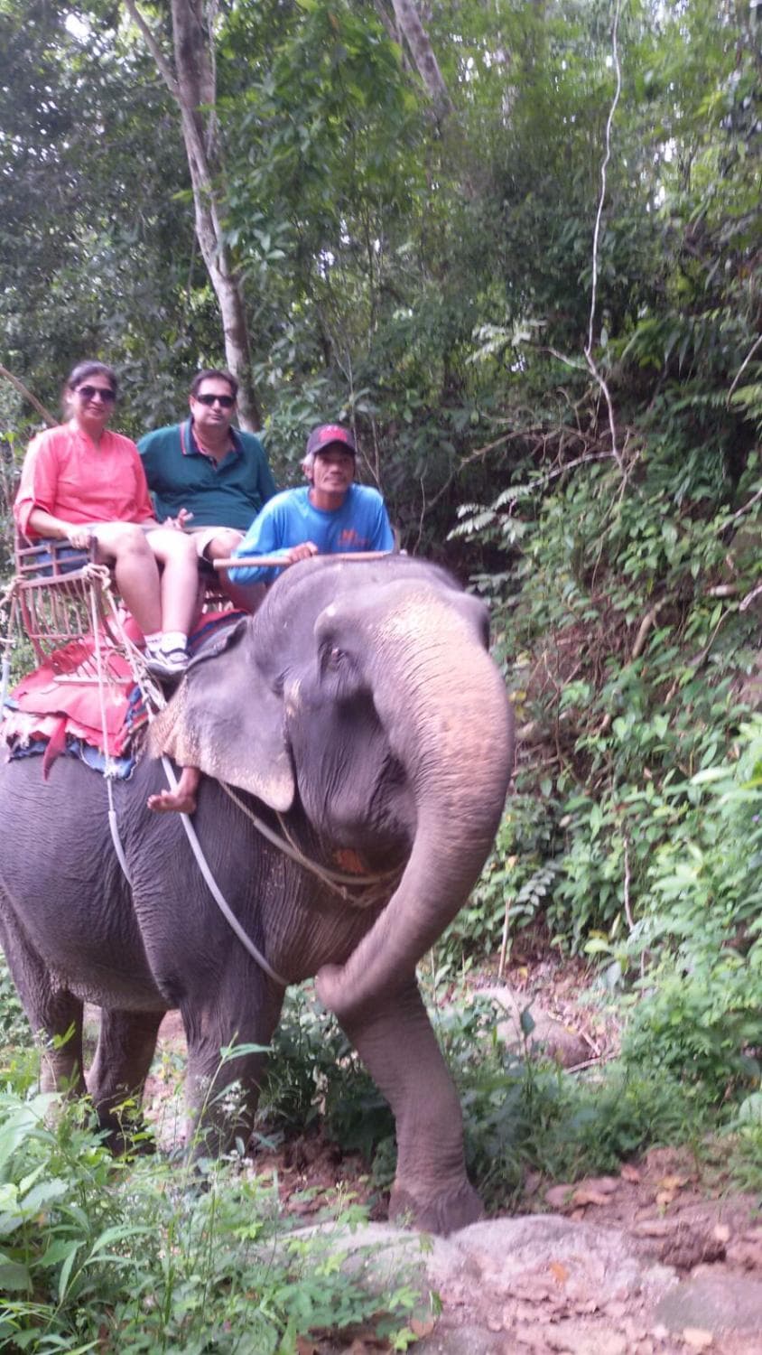 Elephant ride