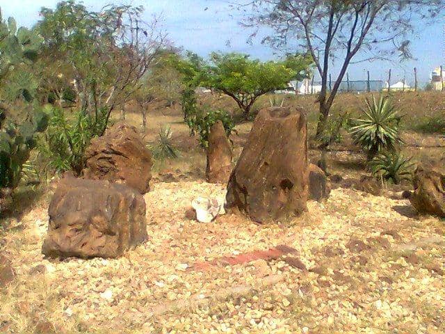 Paleontological Significance