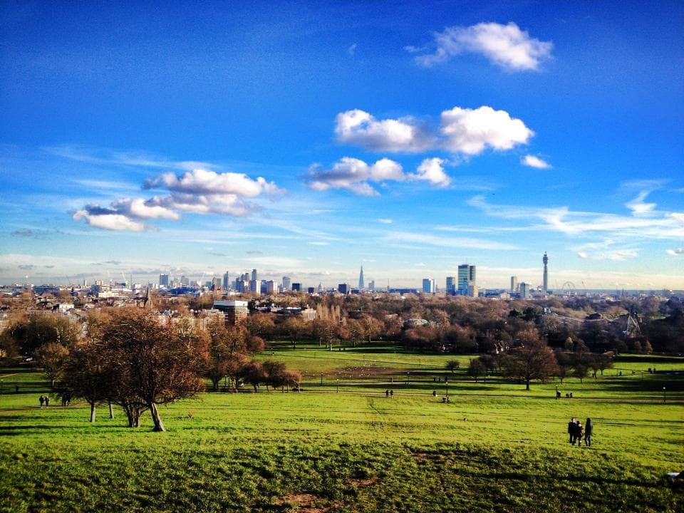 View from Primrose Hill