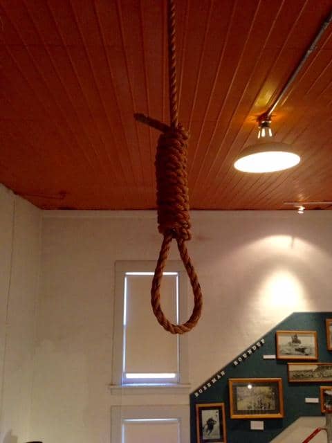 Pioneer Life & Photography