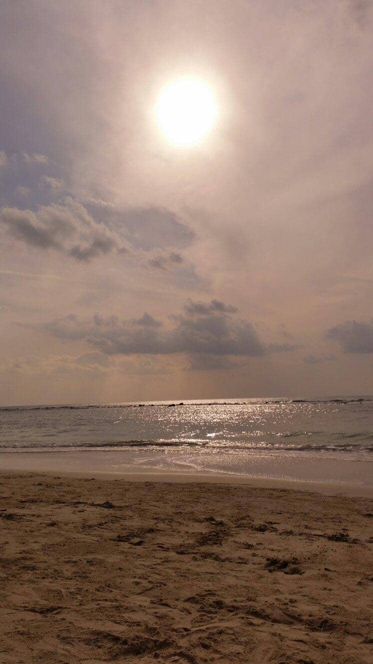 Vibrant Beachfront Dining & Bars