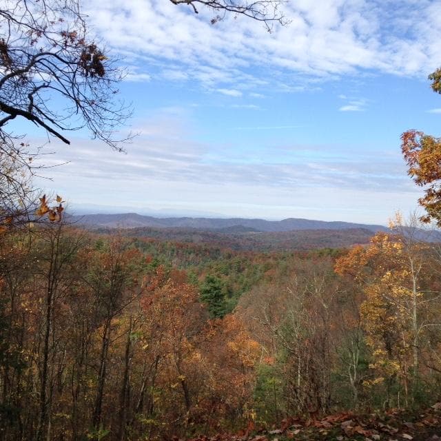beautiful scenic view