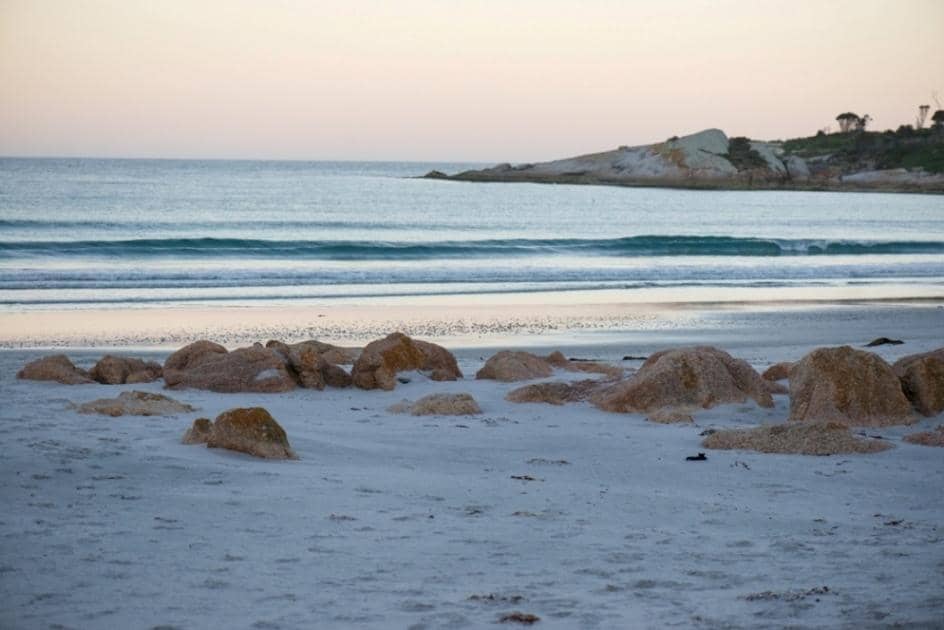 Knowledgeable and Passionate Guides