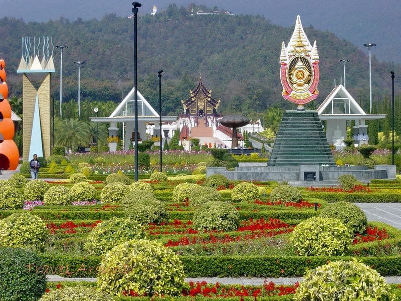 ไม้ประดับด้านหน้า มองผ่านไปยังหอคำหลวงและวัดดอยคำด้านบน