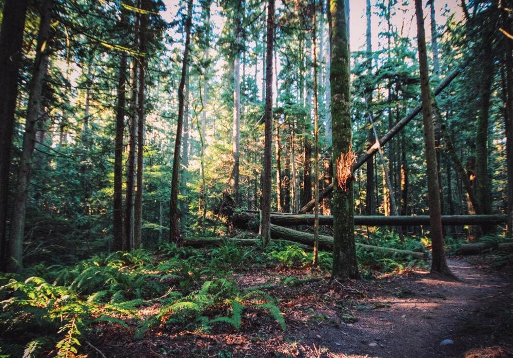 Stimpson Family Nature Reserve