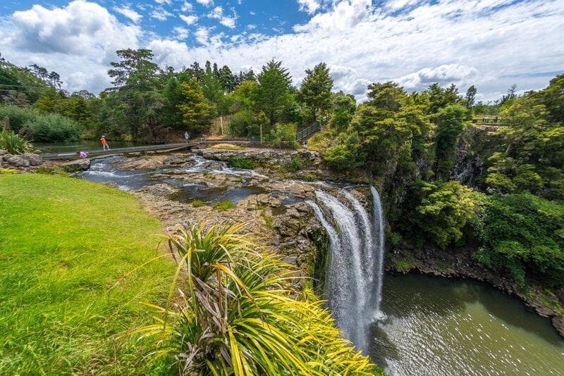 Whangarei Falls Scenic Reserve