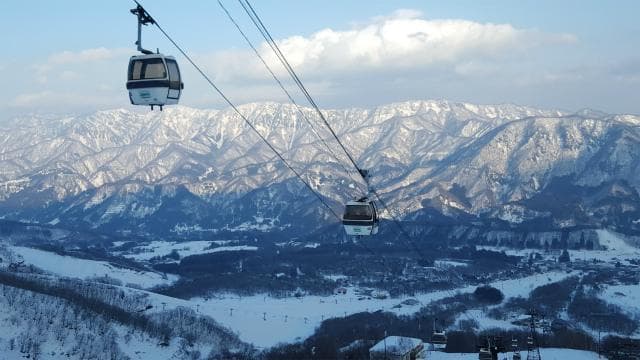 gondola