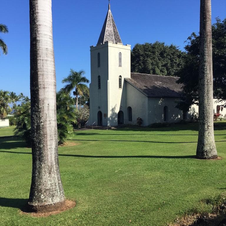 A nice lawn with palm trees. There is a graveyard behind the church as well.