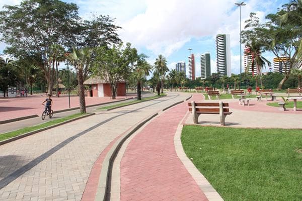 lugar cheio de muito verde