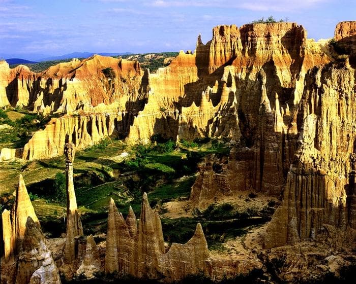 Earth Forest In Yuanmou County,Yunnan