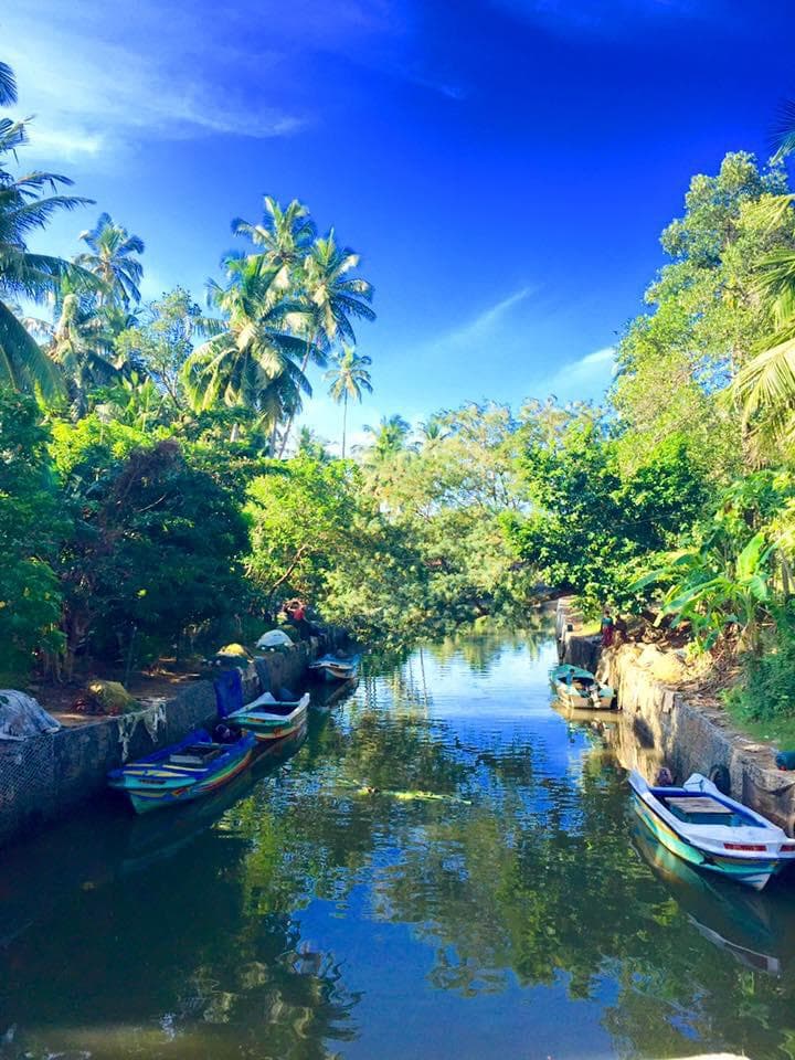 Dutch canal is being beautifully maintained
