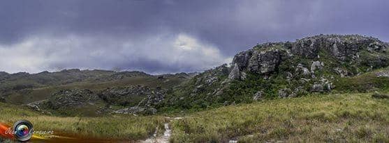 Abundant Flora and Fauna