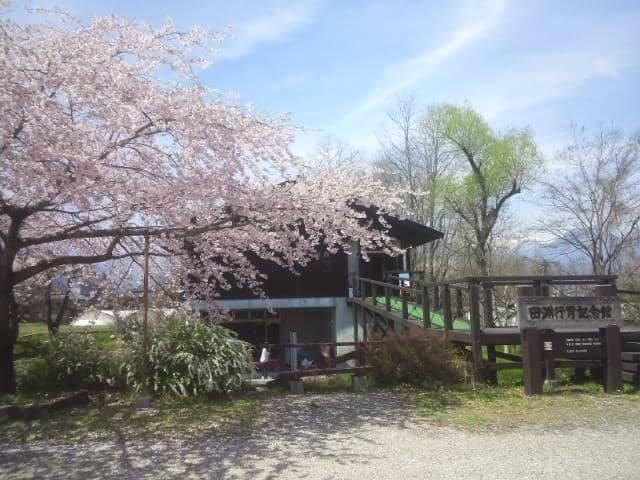 Avant-Garde Special Exhibitions