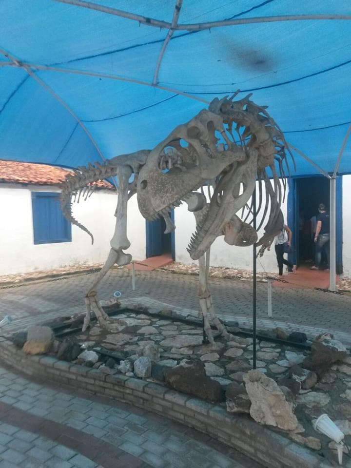 Fossíl