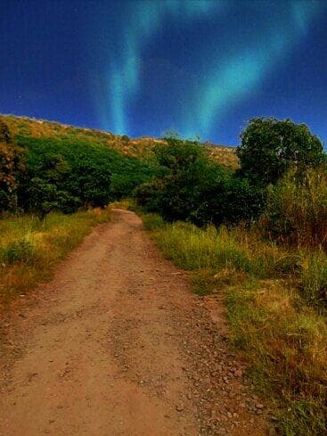 Ralamandal Wildlife Sanctuary