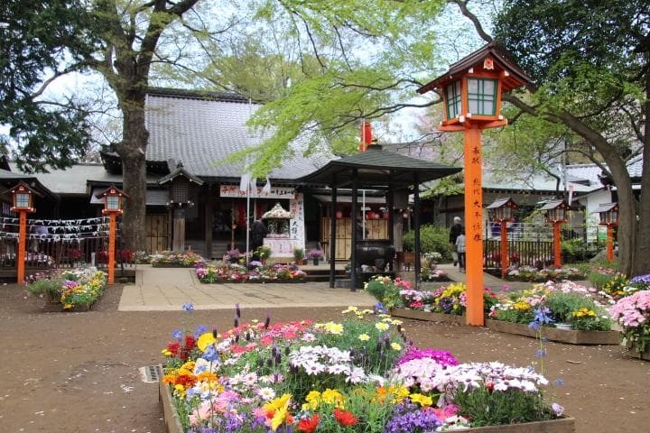 Todoroki Fudoson Temple Tokyo
