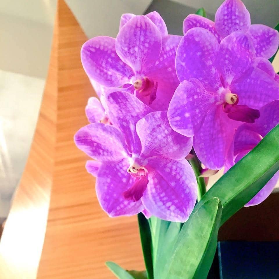 Botanical Gardens & Conservatory