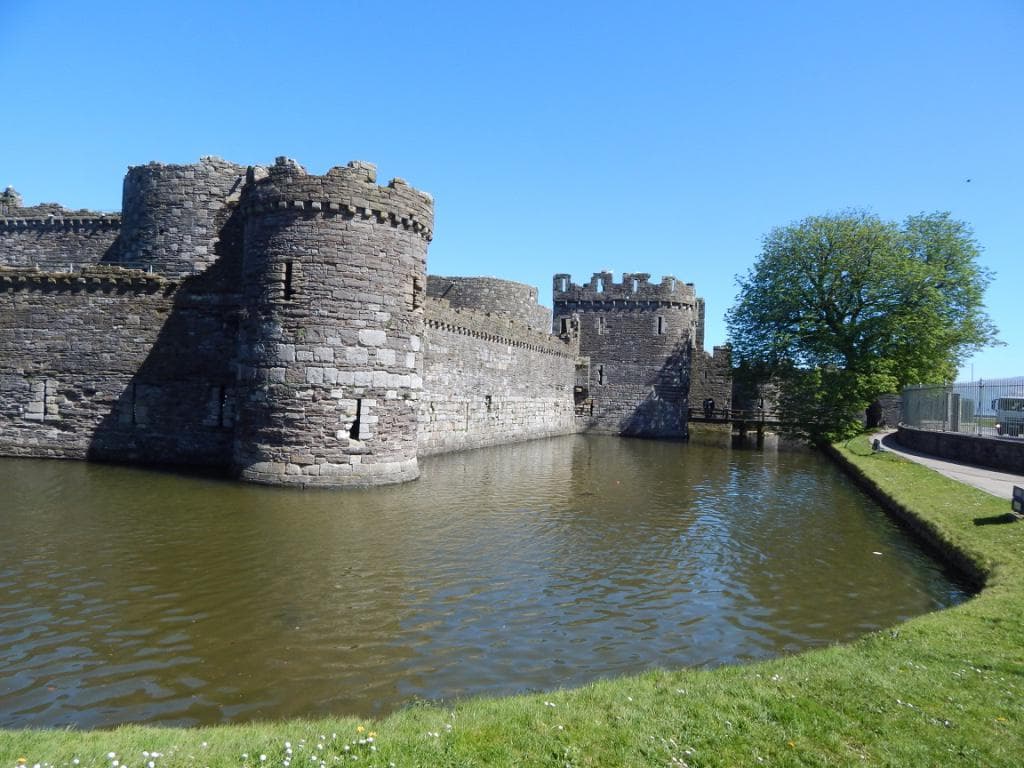 The moat around the castle there were swans at the rear of the castle