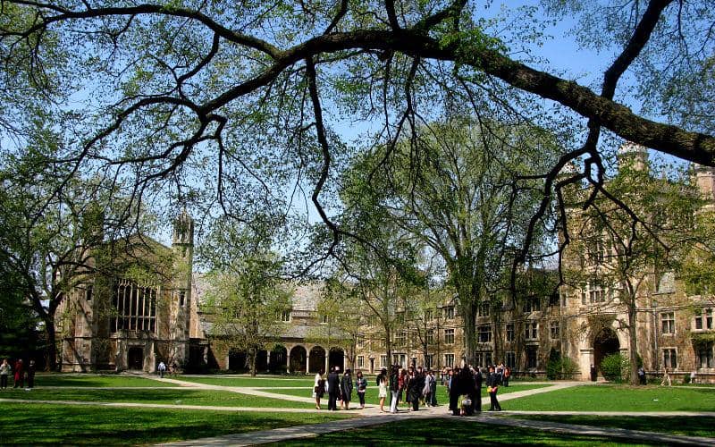 Ann Arbor's Local Eateries