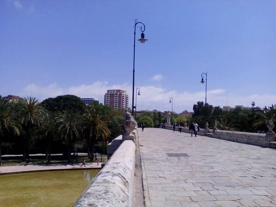 Vertical photo