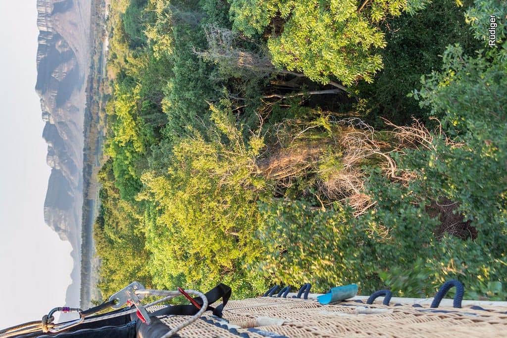 Wildlife Spotting from Above