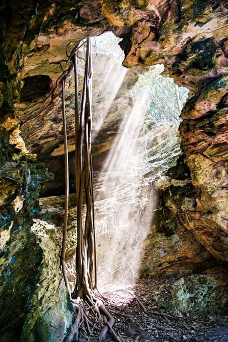 Varahicacos Ecological Reserve