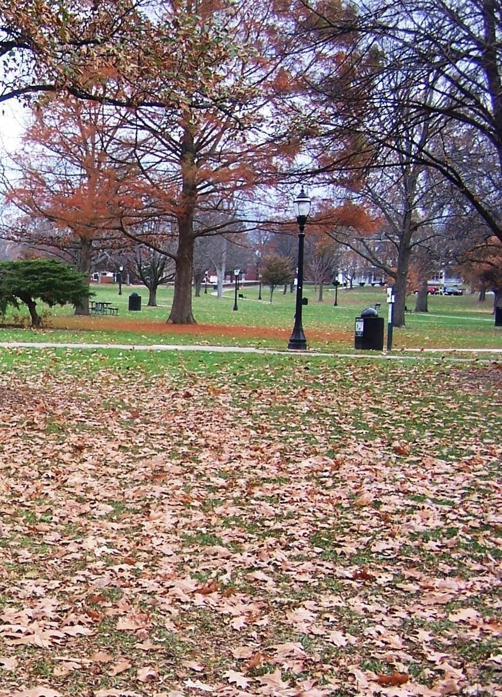 Children's Playground