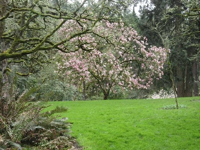 Steve Prefontaine Memorial