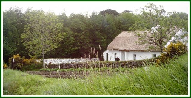 Muckross Traditional Farms