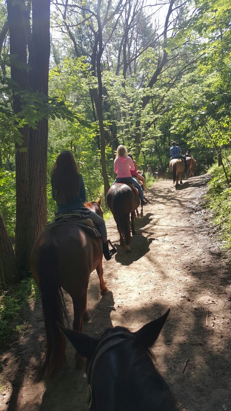 Canyon Creek Riding Stables