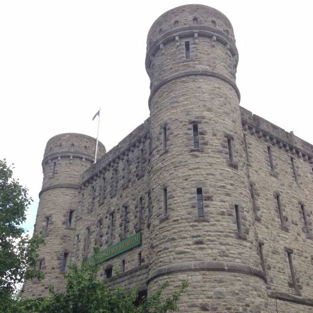 Dorset Regiment Displays