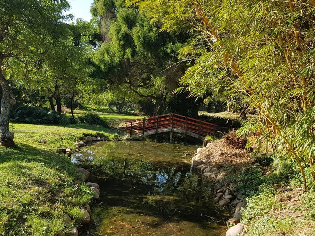 Meandering Walkways